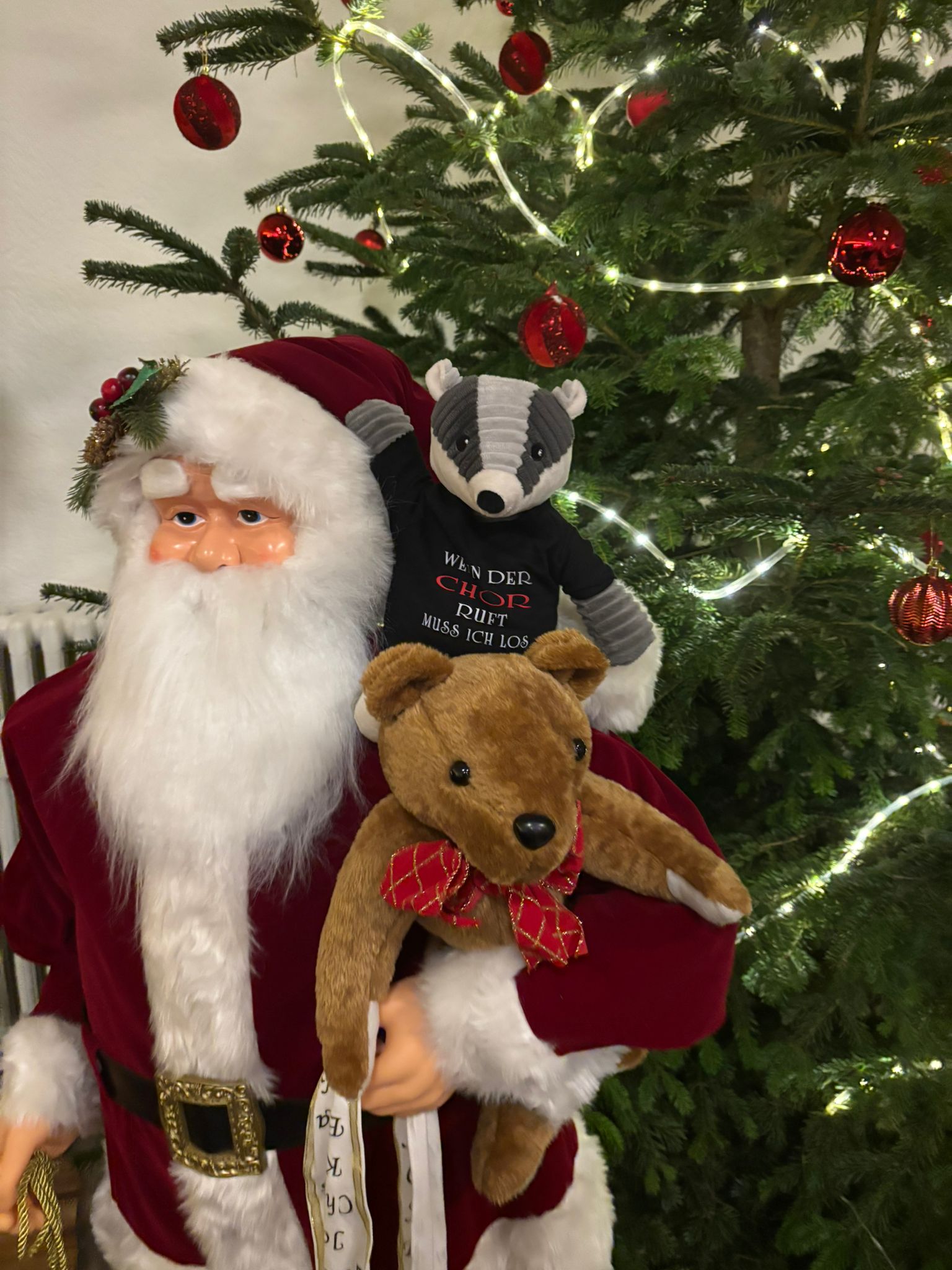 motion_photo_478918239821504013